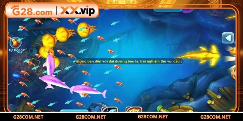 Thông tin chi tiết về game Hải Vương 3D