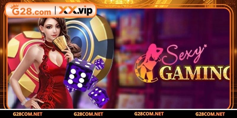 Tìm hiểu sự ra đời, phát triển của Sexy ACE